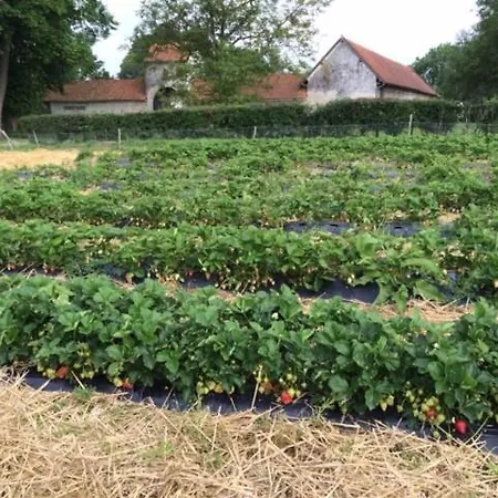 La Ferme Du Bois Quesnoy Saint-Pol-sur-Ternoise